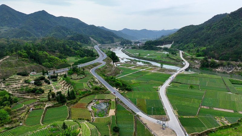 浙農(nóng)浙貝母、杭白菊基地通過(guò)中藥材GAP延伸檢查