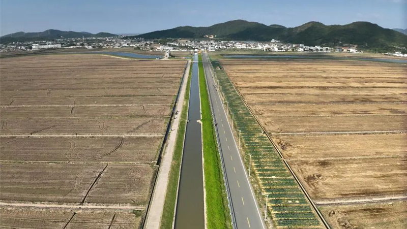 鹽堿地蝶變豐產田！浙農科技岱山項目打造“未來生態(tài)農場”